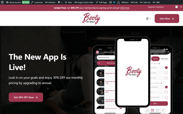 project screenshot