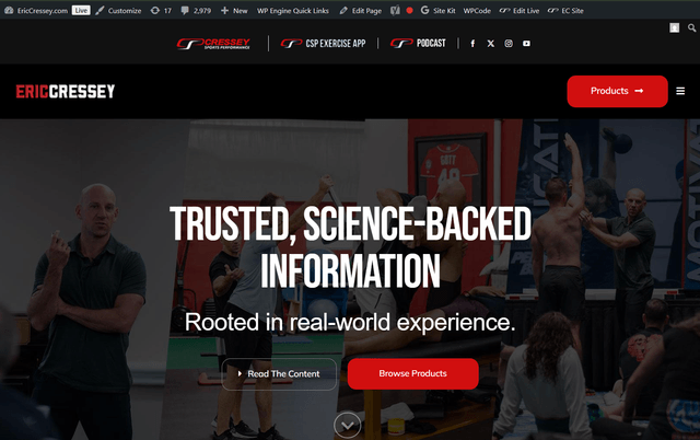 project screenshot